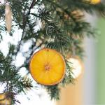 Сушеные апельсины на елку: мастер-класс (с видео)